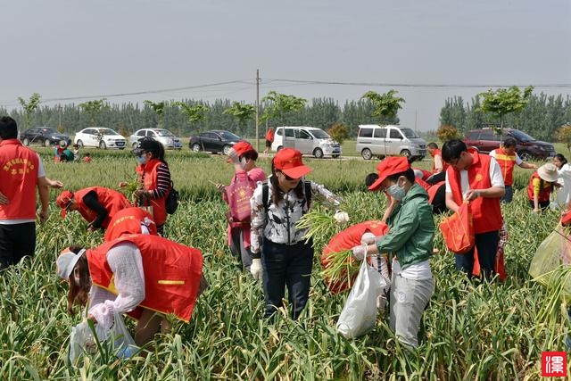 x1f418P1c13J8289.jpg