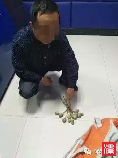m3JNhY1MyhVmNS73.jpg