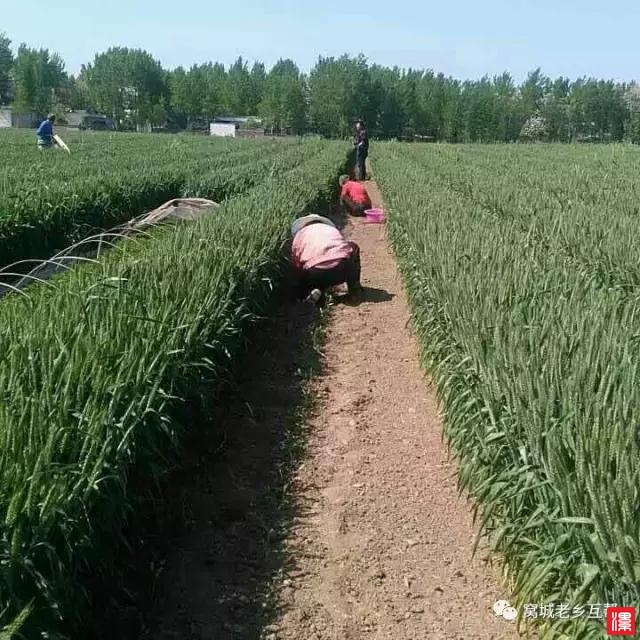 O3nDTUDbU1z1bNea.jpg