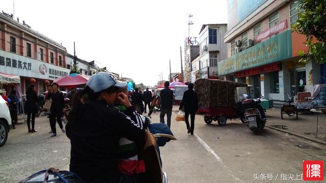 r755bBeSf4xu7x7e.jpg