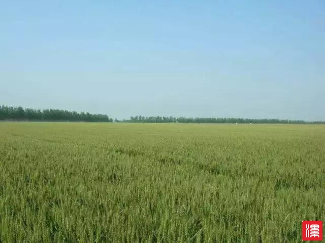 tO7QQ9QGppB32zo7.jpg