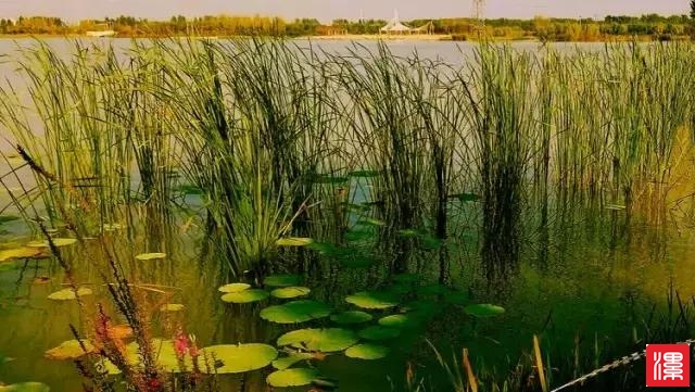 Lz03G0Gv00i0900N.jpg