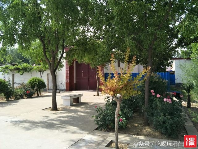 VPl555Z5azbp5PNA.jpg
