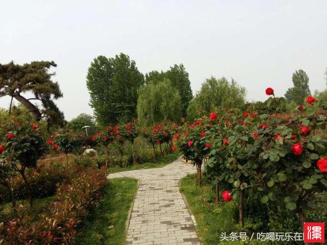 RUeO933QQ6Keu919.jpg