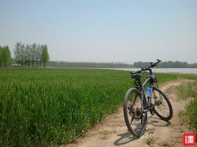 Pln2Wg4Kc22z2Cjb.jpg