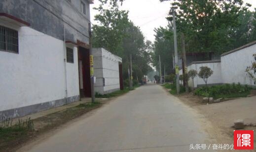 C2v1r71V76cep8p8.jpg