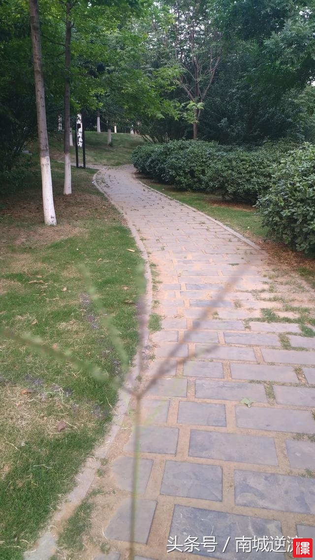 hdw0q5QlqDVZhDd4.jpg
