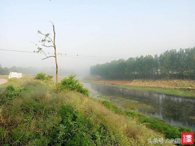 pD8xf8ycb8jd8zWd.jpg