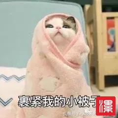 rKSus12mT5S55bsS.jpg