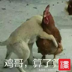 ESDS9Ysco53l5P45.jpg