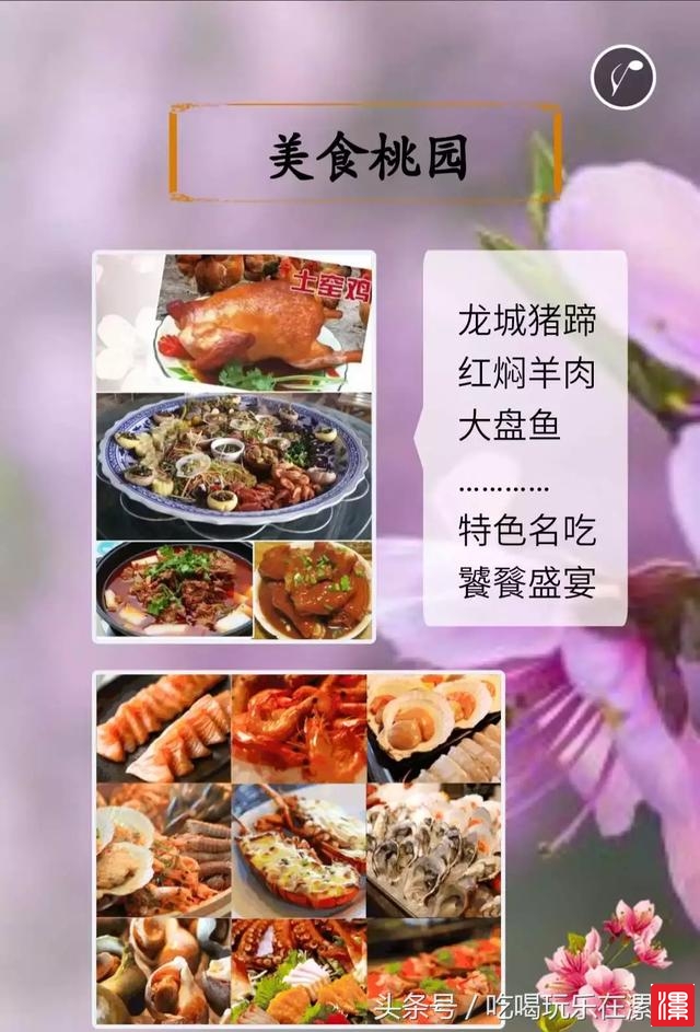 S5xu508nr5s0nX00.jpg
