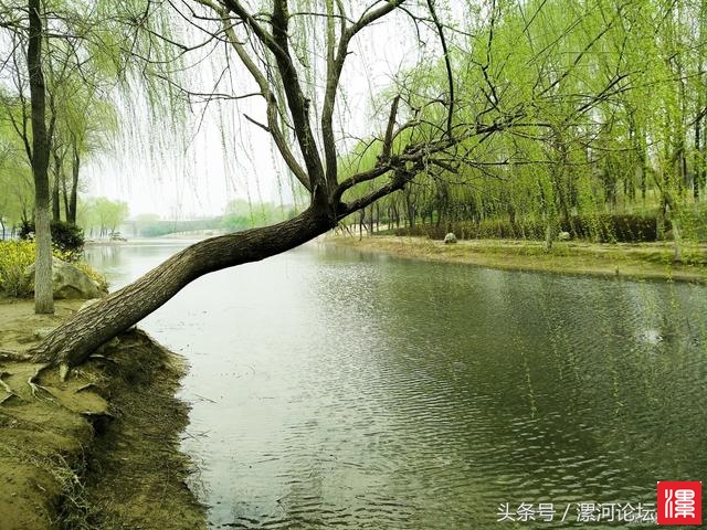 w69992Px6B6w2hwF.jpg
