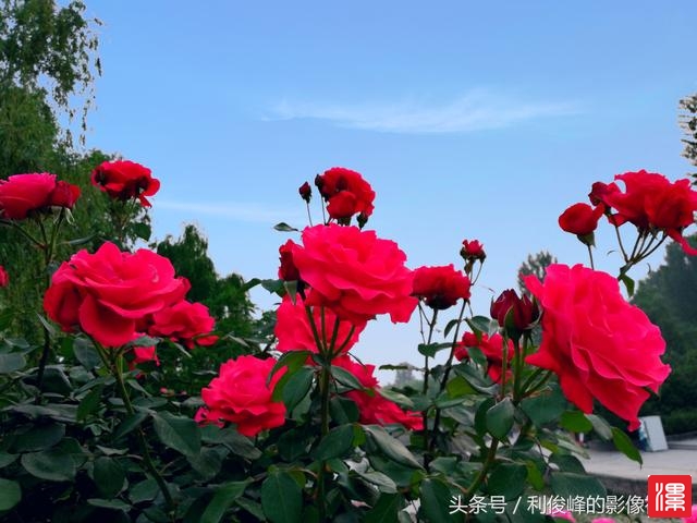 rjzVpjvvBgd8P8wj.jpg