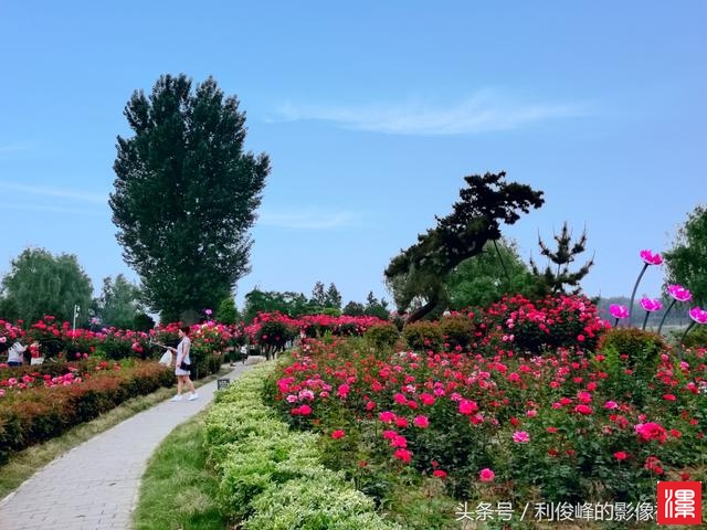 x50784qs3z59377e.jpg